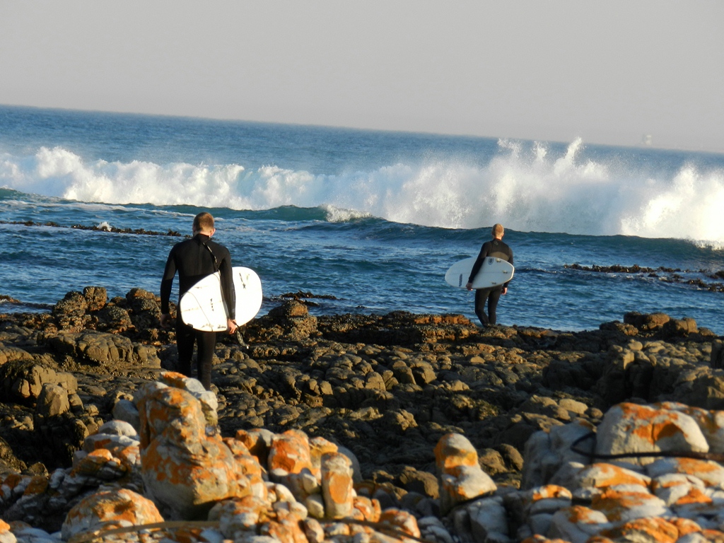 Surfing