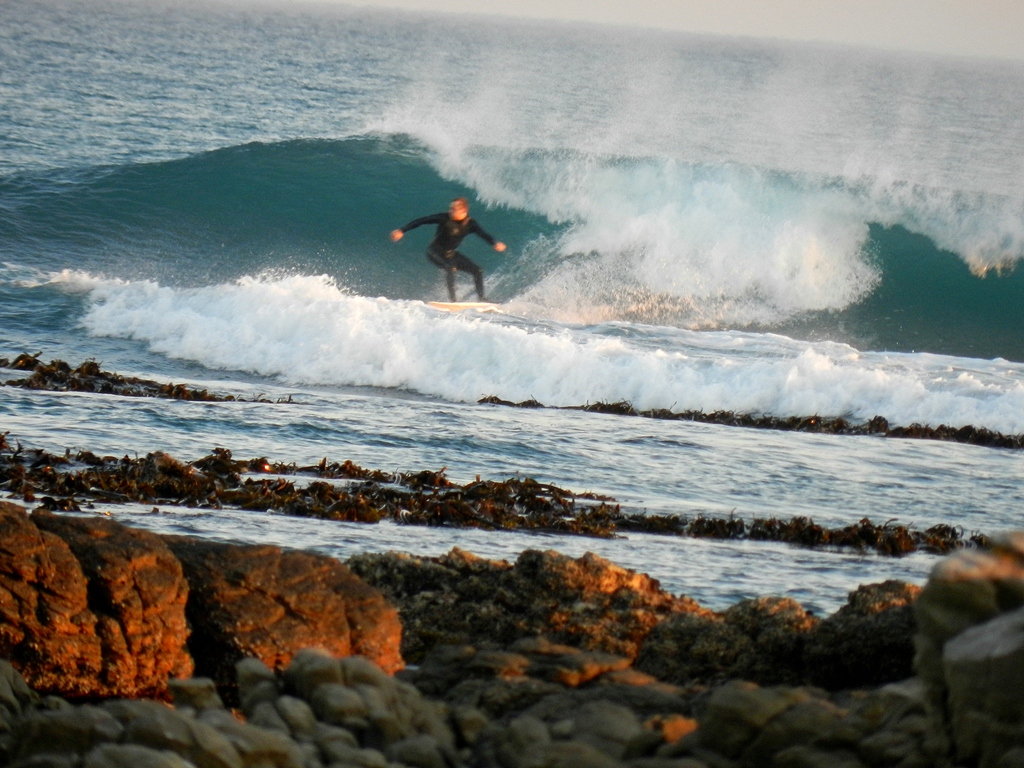 Surfing