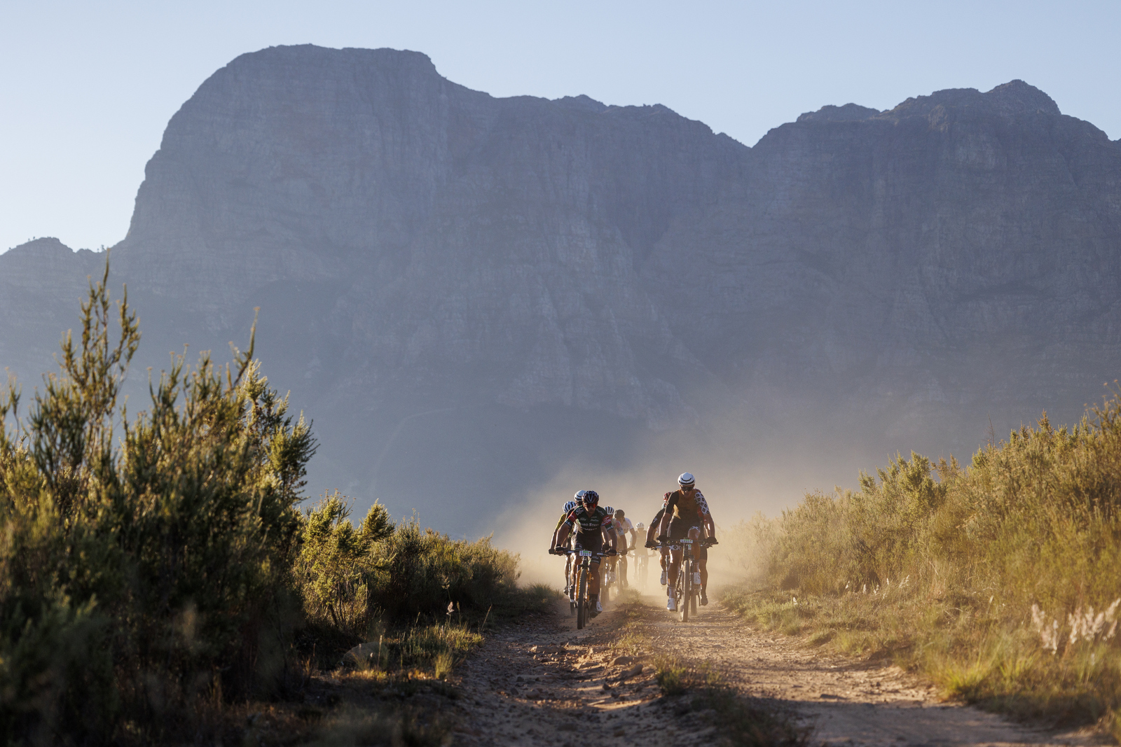 Trailseeker