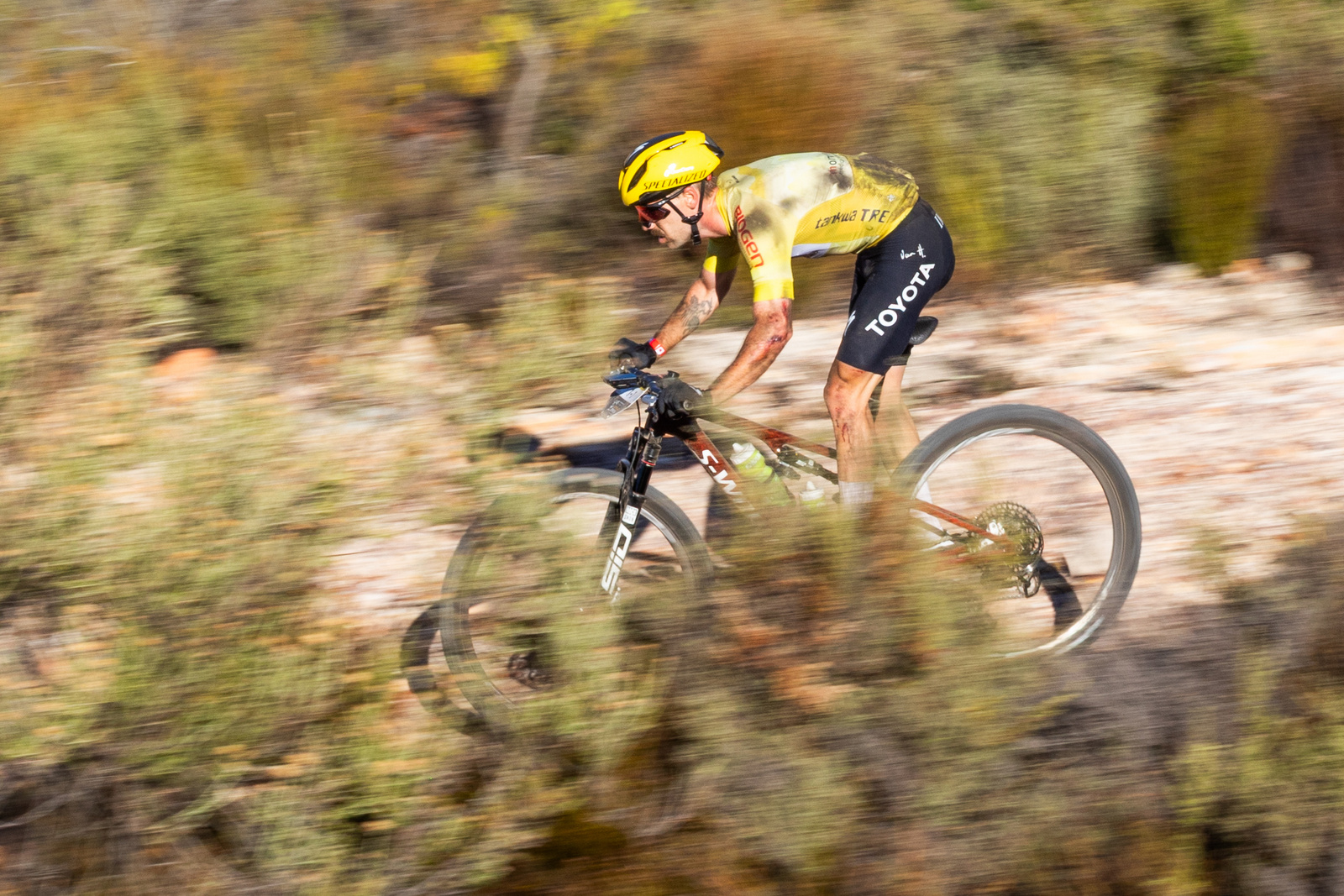 Marco Joubert