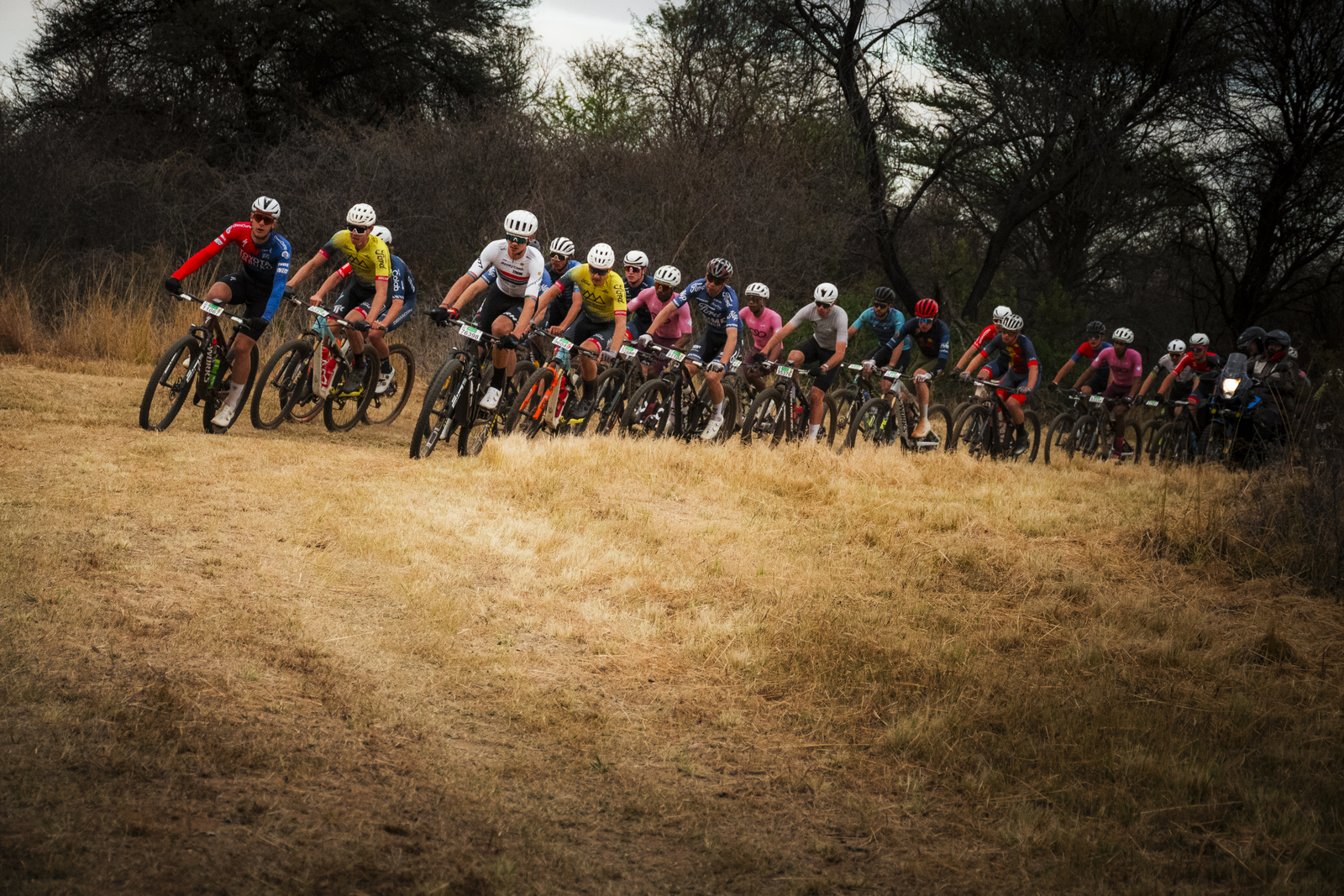 Trailseeker