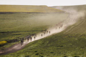 Race to the Sea