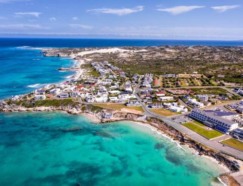 Sign Up for an Arniston Adventure Swim