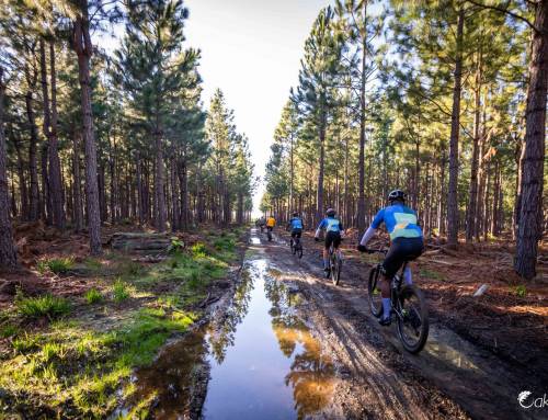 Sunshine and Good Times in the Tsitsikamma at the Glacier Storms River Traverse
