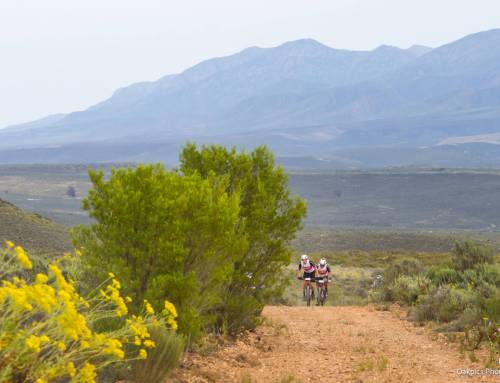Last Chance to Ride a Historic and Different Lion’s Karoo to Coast