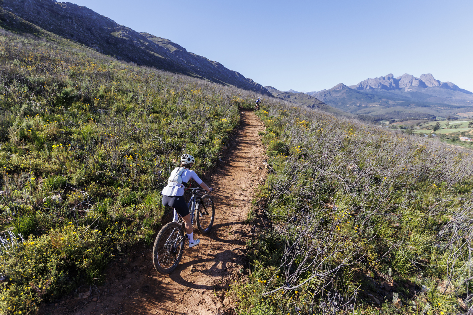 Trailseeker Series