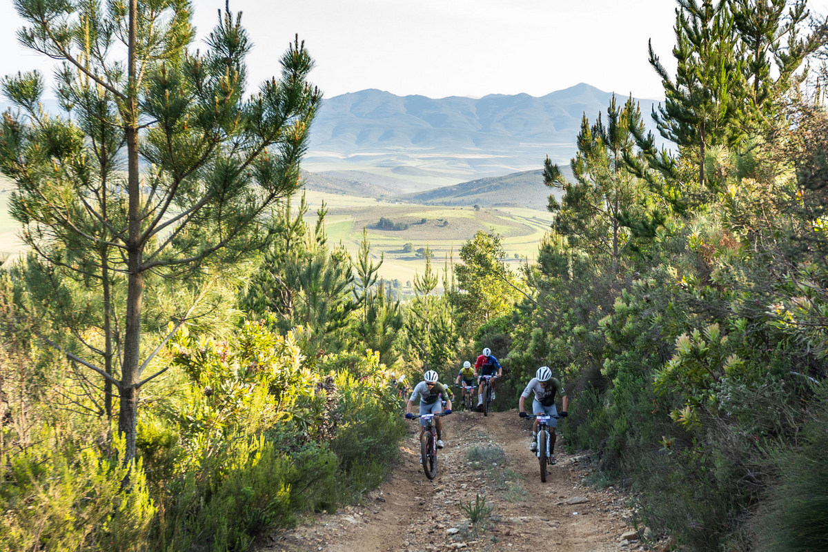 Cape Vulture Nature Reserve