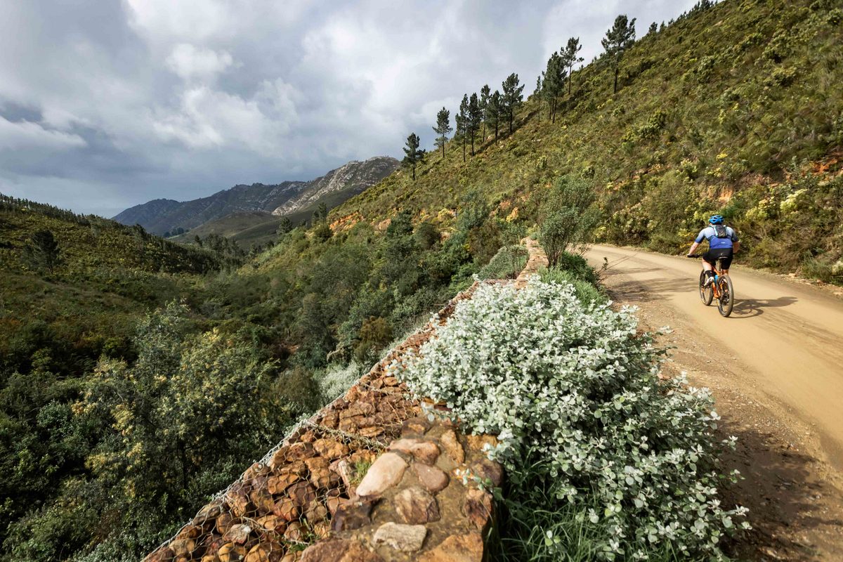 Karoo to Coast